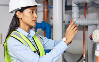 Common Issues Found in Commercial Property Inspections